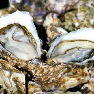 Commandez des huîtres papillon au Club Gourmet le week-end au Vésinet