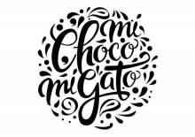 Cours de pâtisserie au Vésinet - MichocoMigato